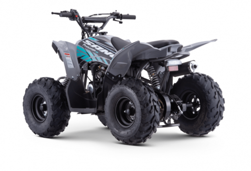 Apollo Quad Sano Predator 110cc